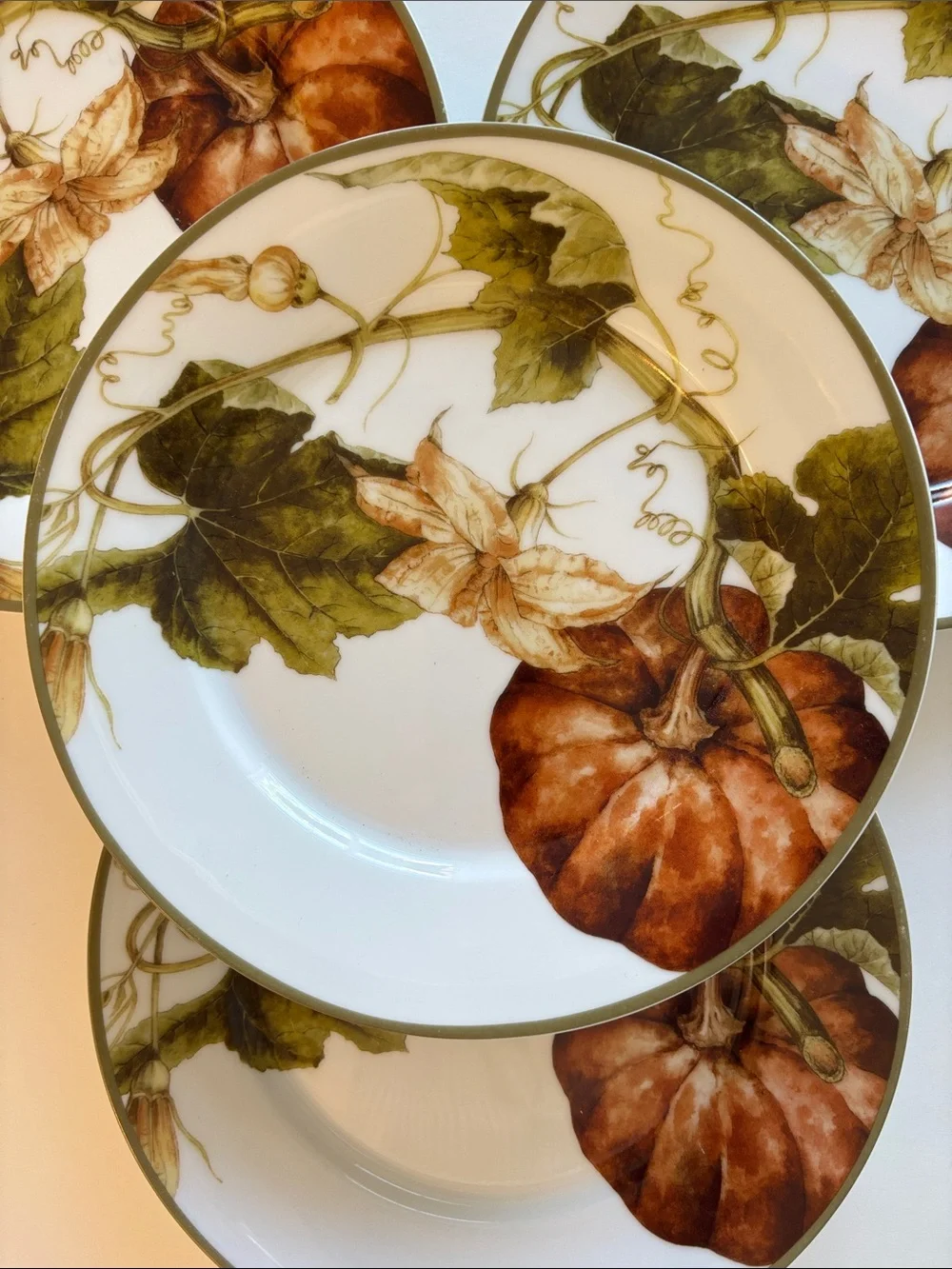 Williams Sonoma Botanical Pumpkin Salad Dessert Plates Set of 4 Thanksgiving